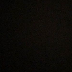 Meet your Posher, Warren